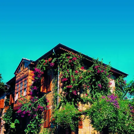 Begonville Pansiyon-3