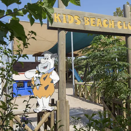 Trendy Verbena Beach-2