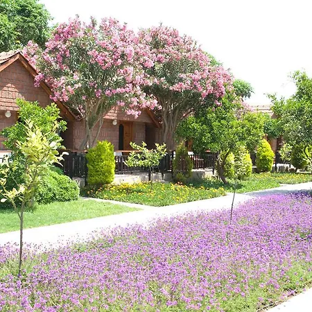 Hotel Can Garden Beach-3