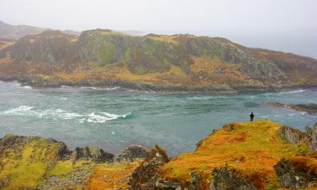 Person on rugged shore Wild Art Scotland  wilderness retreat