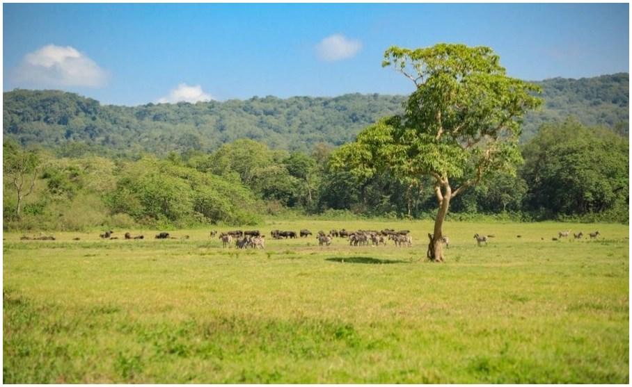 parc-national-darusha