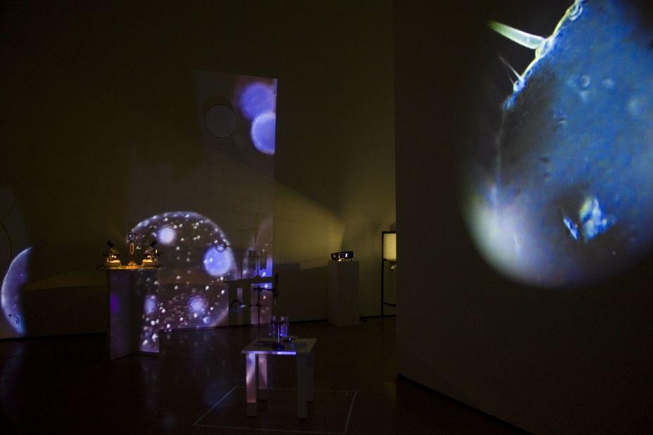 The museum's most popular exhibition is The Aleph Project, a combination of science, art and architecture. 