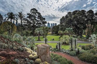 trees in front of the skyline at Melbourne's Royal Botanical Gardens, Australia