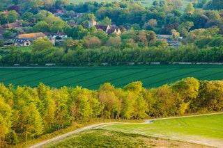 Firle