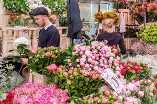 Best for beautiful blooms  Part of the reason it takes so long to edge down Columbia Road on a Sunday morning is the...